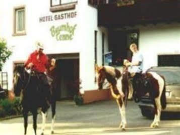 Hotel- Landgasthof Baumhof-Tenne Marktheidenfeld Luaran gambar